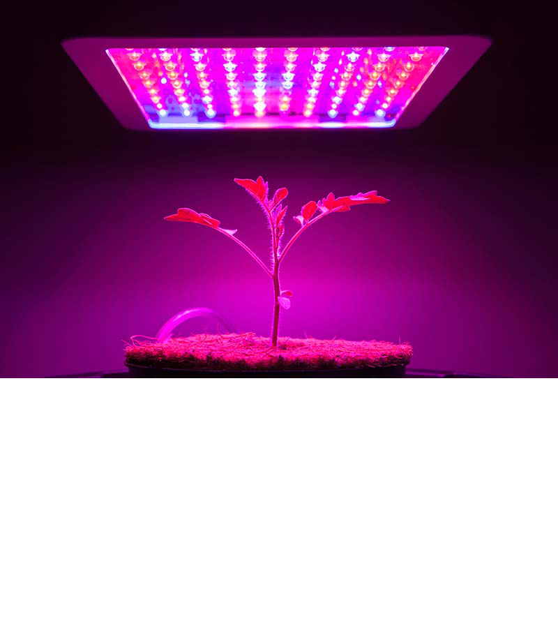 best led grow lights uPONICs, Hydroponics and Aquaponics Information