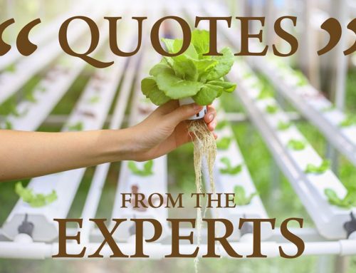 Quotes From The Experts