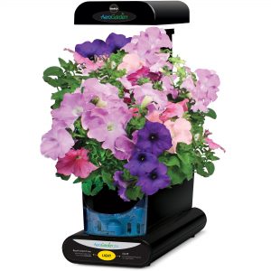 aerogarden flowers