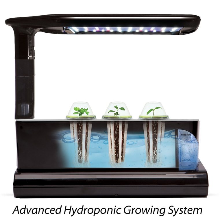 sprout led - uPONICs, Hydroponics and Aquaponics Information